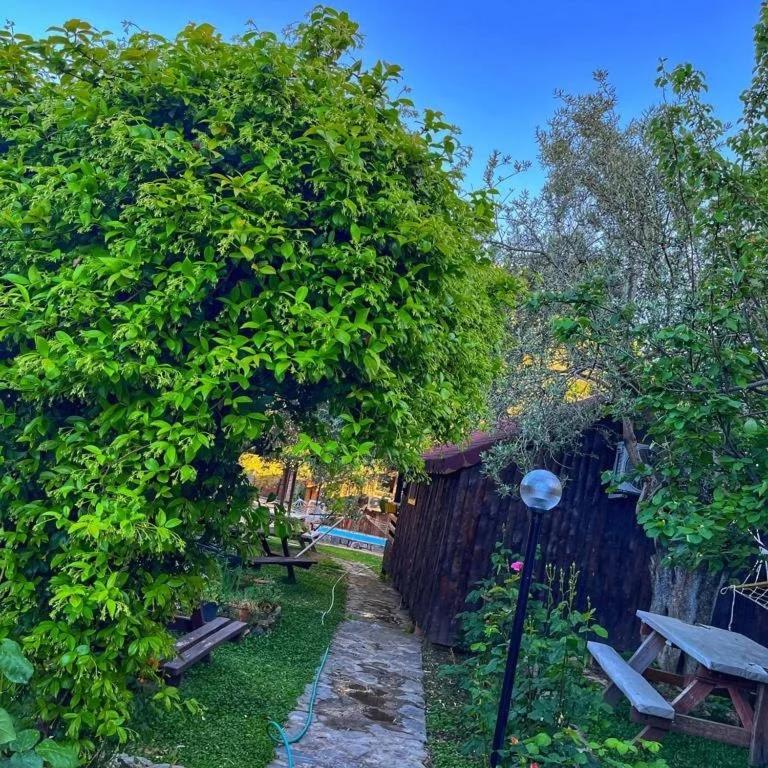 Zeytindagi Bungalow Mehmetalani Exterior photo